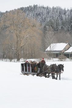 two horses pulling a sleigh full of people through the snow