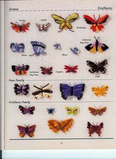 the butterflies are all different colors and sizes