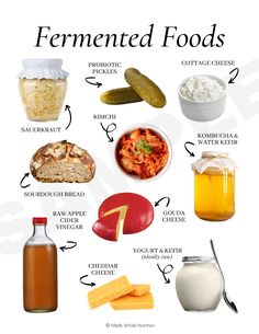 Fermented Foods, Healthy Gut