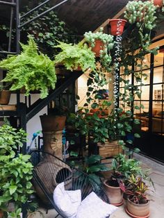 some plants are growing on the outside of a building with stairs leading up to it