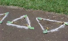 flowers are placed in the shape of a triangle on the ground next to some grass