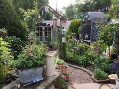 a garden filled with lots of plants and flowers