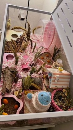 an open box filled with lots of different types of plants and animals in it's habitat