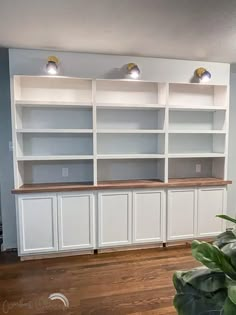 an empty room with several white shelves and plants on the floor in front of it