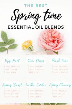 Oily Chic, Spring Essential Oil Blends, Chic Library, Essential Oil Recipes Diffuser, Essential Oil Perfume Recipes, Best Smelling Essential Oils, Perfume Blends, Eo Blends