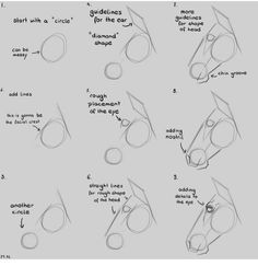 how to draw a horse's nose