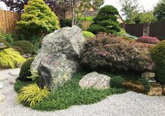 a garden with rocks and plants in it