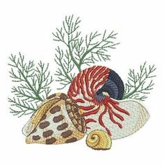 two seashells and seaweed on a white background with red, black, and blue colors