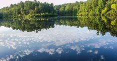 a lake surrounded by trees and clouds in the sky, with water reflecting it's surface