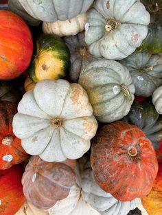 pumpkins and gourds are piled on top of each other