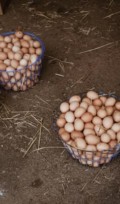 two baskets filled with eggs sitting on the ground