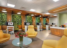 an office with yellow chairs and green plants on the wall