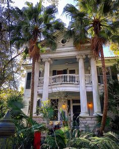 a large white house surrounded by palm trees