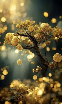 a tree with lots of gold coins hanging from it's branches in front of a dark background