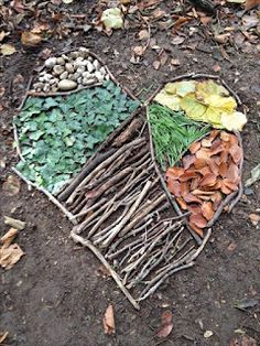 various types of leaves are arranged in the shape of a heart on top of some branches