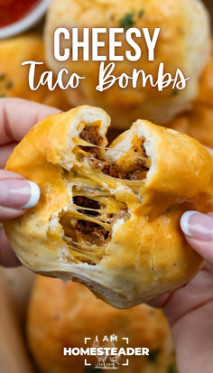 A taco filled biscuit is being broken in two, showing the cheesy meaty filling. Breakfast Tacos, Beef Appetizers, Seasoned Ground Beef, Cream Cheese Crescent Rolls, Homemade Buttermilk Biscuits, Buttermilk Biscuits Recipe, Hot Sandwich, Crescent Roll Recipes, Dinner With Ground Beef