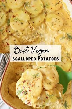 the best vegan scalloped potatoes in a casserole dish