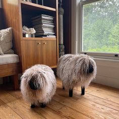 two furry sheep standing next to each other in front of a book shelf and window