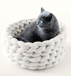 a black cat is sitting in a white woven basket that looks like a rope bed