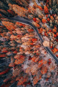 an aerial view of a winding road surrounded by trees in the fall with orange leaves