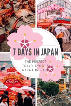 the 7 days in japan that are perfect for tokyo and narra