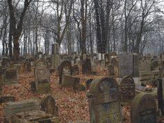 an old cemetery with many headstones and trees in the background