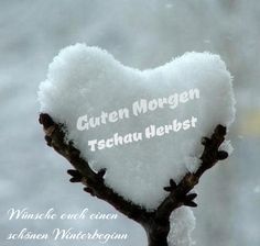 a heart shaped piece of snow on top of a tree branch with words written below it