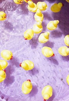 yellow rubber ducks floating in water on a purple surface