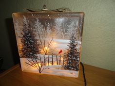 a lighted glass box with trees and a cardinal in the snow