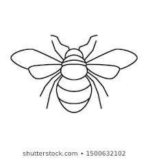 the outline of a bee on a white background