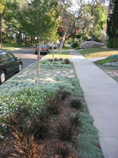 a car parked on the side of a road next to a parking meter and grass