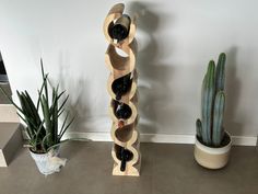 a wine rack with several bottles in it next to a cactus