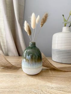 two vases with plants in them sitting on a table next to a curtained window