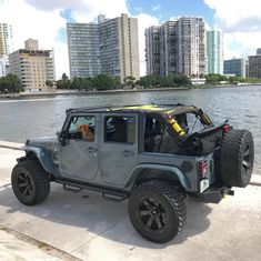 a dog is sitting in the driver's seat of a gray jeep with its door open