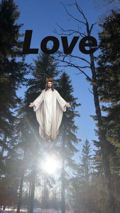 the statue of jesus is surrounded by trees and words that read, i love jesus