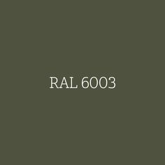 the word rai 6003 is written in white on a dark green background with an image of