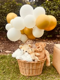 teddy bears and balloons in a basket on the grass