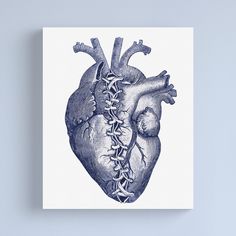 a blue and white drawing of a human heart with the vena caccia attached canvas print