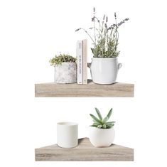 two white pots with plants and books on top of a wooden shelf next to each other