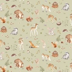 an animal themed wallpaper with many different animals and plants on the background, including deers, foxes, raccoons, and more