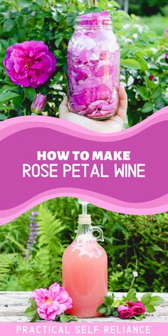 fresh summer rose petals in a mason jar and a glass carboy with an airlock fermenting homemade rose petal wine next to rose flowers in summer. Herbal Mead Recipe, 1 Gallon Mead Recipe, Rose Wine Recipes, Fruit Wine Recipes, Pokemon Food, Mead Wine, Wine At Home