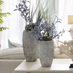 two vases with plants in them sitting on a coffee table next to a couch