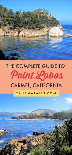 the complete guide to point lobos in carmel californa