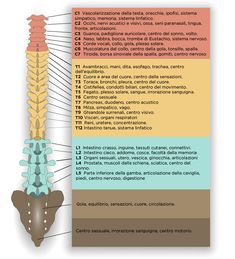 Sciatica