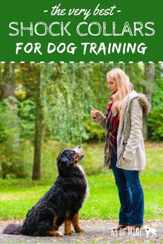 a woman standing next to a black and brown dog with the words, the very best shock collars for dog training