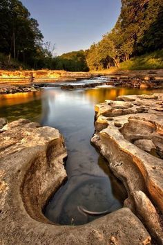 a river flowing through a lush green forest filled with lots of rocks covered in dirt