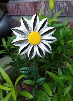 a white and black flower with yellow center