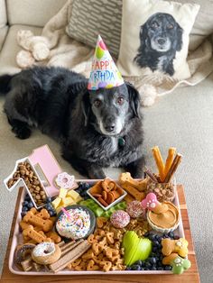 a dog is sitting on the couch with a birthday tray full of snacks and treats