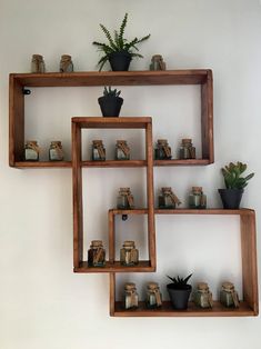 three wooden shelves with plants and books on them