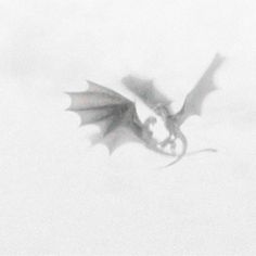 a black and white photo of a dragon flying through the air